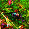 P9250107 copy