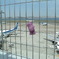 空港にて