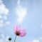 あの空