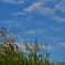 秋空