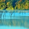Zooming of autumn