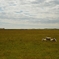 Icelandic Landscape3