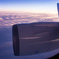 再会の空...(=ﾟωﾟ)ﾉ