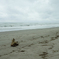 Shore In September #3