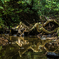 Wooden snake