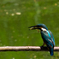 imgp0645-2