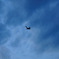 空へ