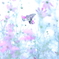 秋桜アゲハ