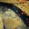 DSC01906