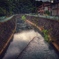 川