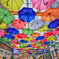 Umbrella Street