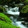 三重県　赤目四十八滝