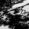 shinagawa_xperia_20161006_124742