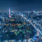 TOKYO BLUE NIGHT