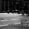 afterimage b&w (1 - 1)