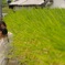 一緒に食べよ