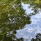 水鏡