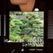 庭のある茶屋