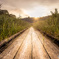 morning sun　#2