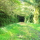 緑の廃線跡