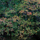 _22I0497