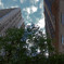 chicago 3