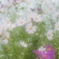 爛漫