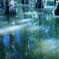 森の魚