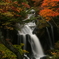 竜頭の滝の紅葉