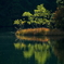 風景