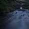 流れ