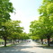 葛西臨海公園２
