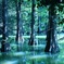 水の森