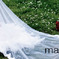 marry me tomorrow Ⅱ