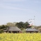 落ち着く風景。