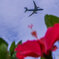 787