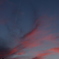 夕暮れの茶畑から