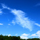 PH-0224_空飛ぶ鯨