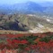 赤と緑の世界