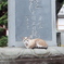 DSCF0926