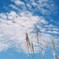 秋の空、安芸の空