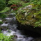 忍山川