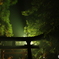 中野もみじ山 番外編
