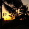 DSC01269