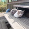 DSCF0944