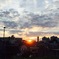 夕日