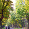 北海道大学