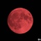 RED MOON