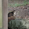 IMGP0521