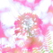 花を覗いてみませんか？